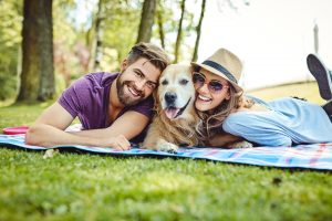 Couple picnic with dog