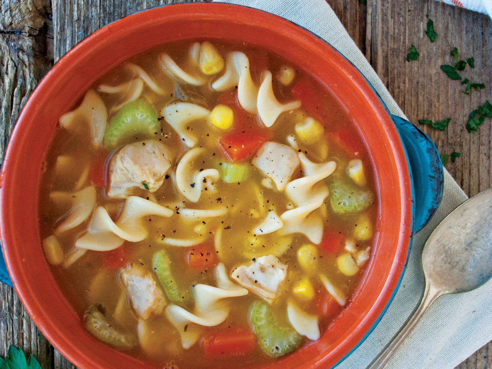 Chicken Noodle Soup | Deborah Specialty Physicians