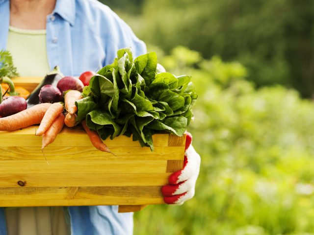9 Immune-Boosting Spring Vegetables