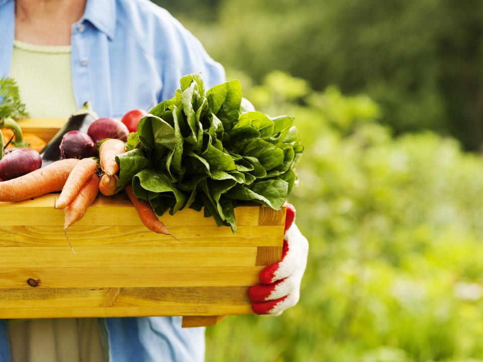 9-immune-boosting-spring-vegetables-deborah-specialty-physicians