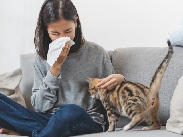 How Allergies May Affect Your Asthma