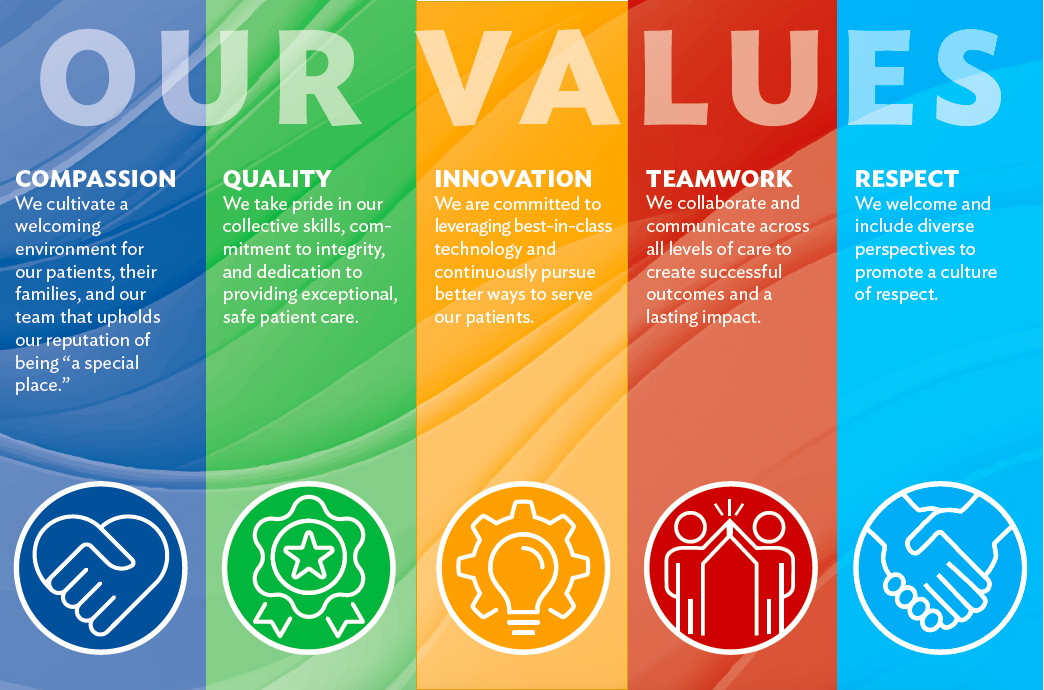 a colorful chart depicting the organization's core values