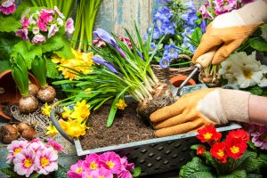 Gardening