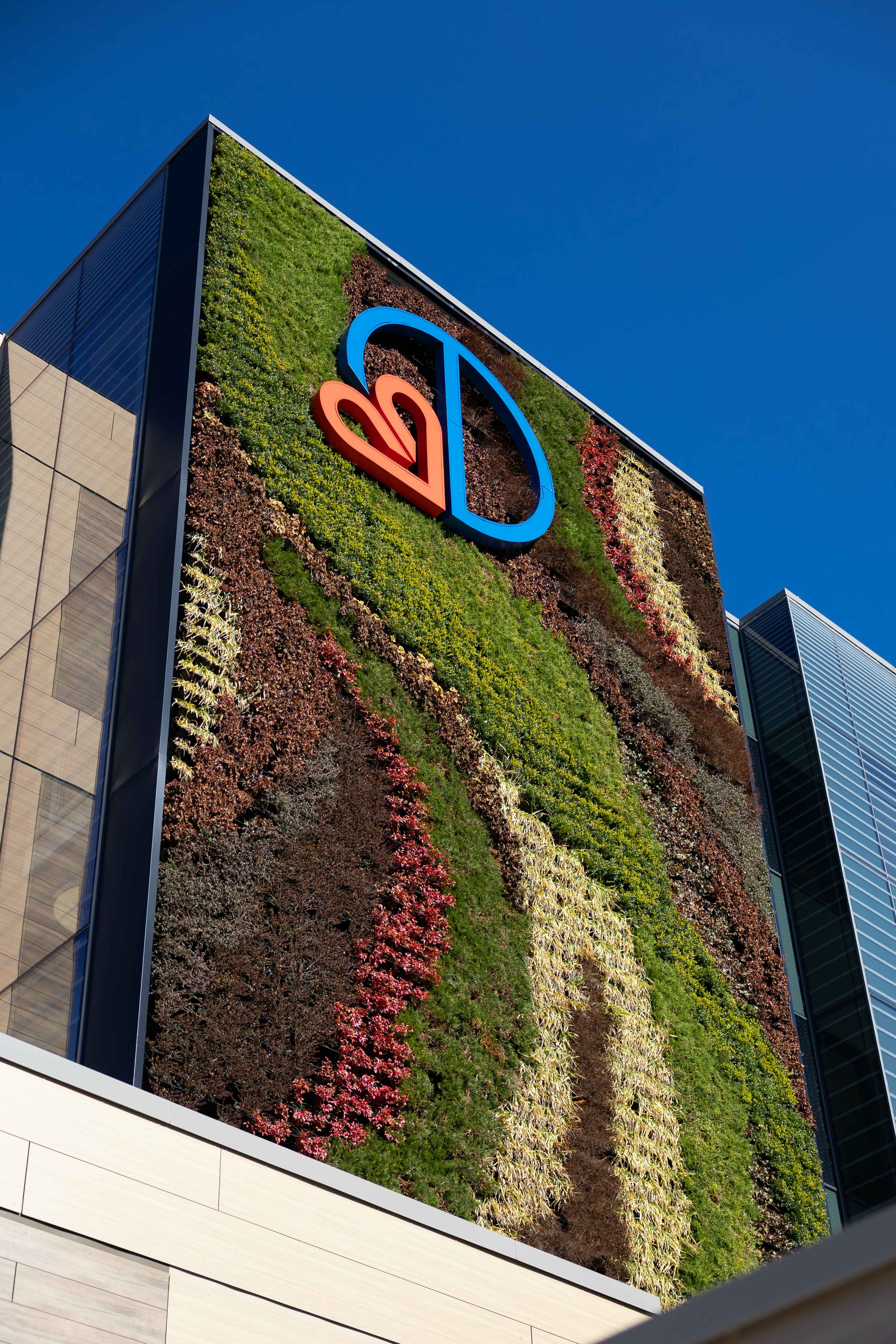 living wall with deborah logo
