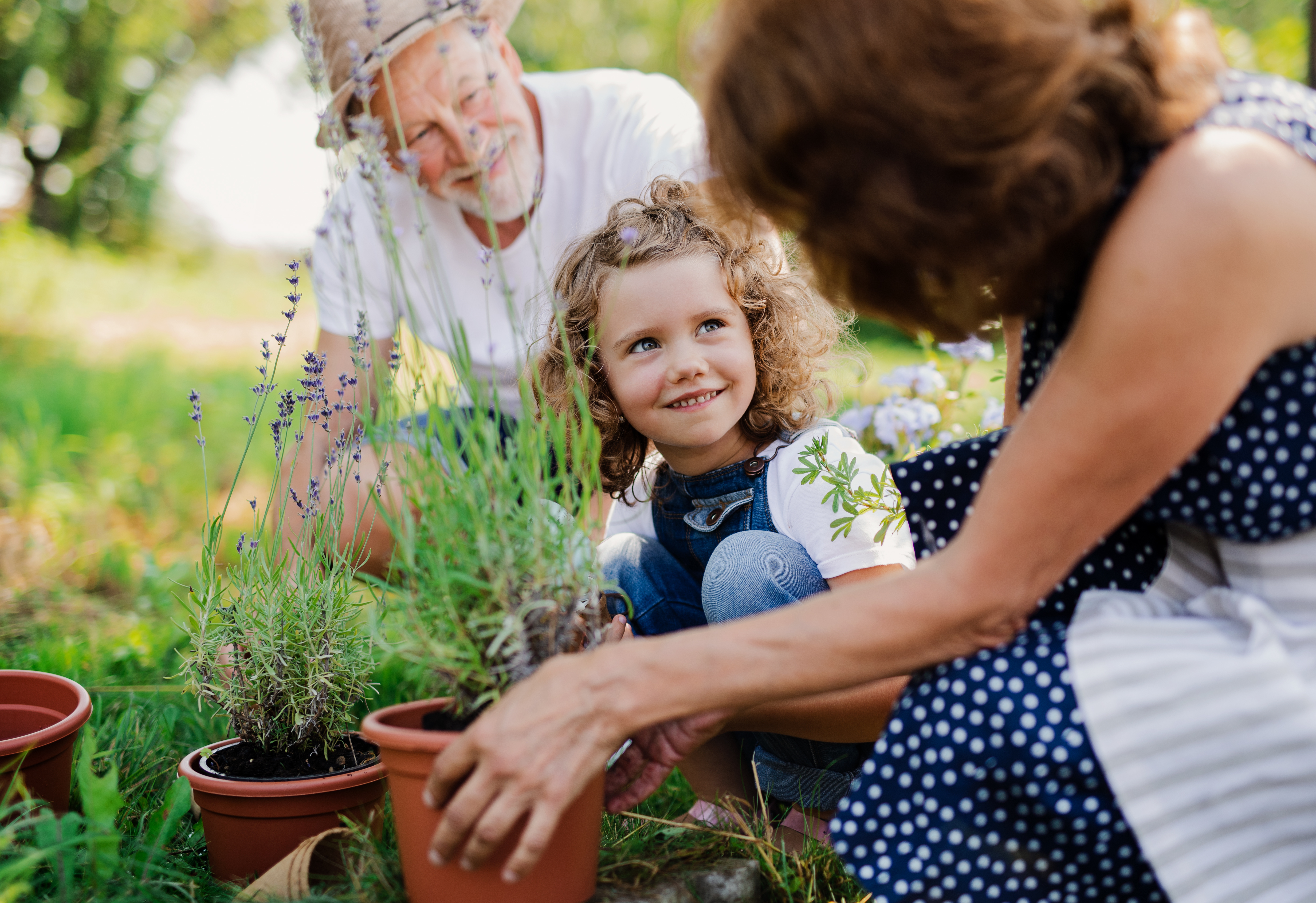 grandparents working in the garden with granddaughter